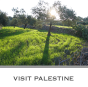 Visit Palestine